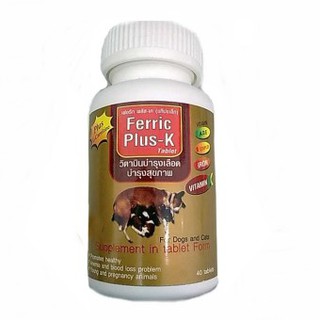 Ferric Plus-K (Exp.05/2024) ชนิดเม็ด บรรจุ 40 เม็ด วิตามินบำรุงเลือดและสุขภาพ สำหรับสุนัขและแมว