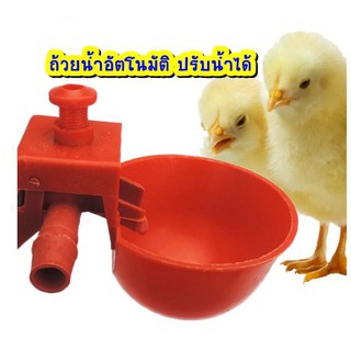 ถ้วยให้น้ำอัตโนมัติสีแดง/ไก่/นกกระทา ปรับน้ำได้