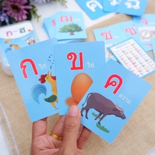🇹🇭พร้อมส่ง : พยัญชนะไทย ก-ฮ / แผ่นภาพ ก-ฮ / ก.ไก่ / ABC / A-Z / เลข 0-100 / ตัวเลข