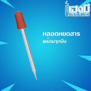 หลอดหยดสาร ยาว 10 cm พร้อมจุกบีบสีส้ม Dropper หลอดหยดสารแก้ว หลอดหยดน้ำหอม