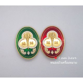 เข็มผู้กำกับเนตรนารี, รองผู้กำกับเนตรนารี ครู👍