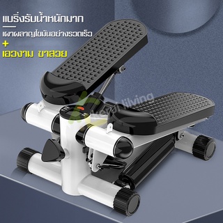 เครื่องออกกำลังกาย Mini Stepper