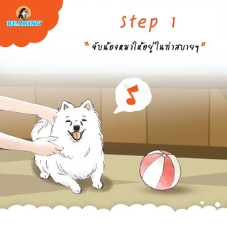 BEARING Tick & Flea Dog น้ำยากำจัดเห็บหมัด สำหรับสุนัข เห็นผลรวดเร็ว 250ml