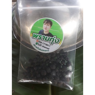 เมล็ดนุ่นใหม่สำหรับปลูก100เมล็ด55บาทพร้อมปลูกพร้อมส่ง