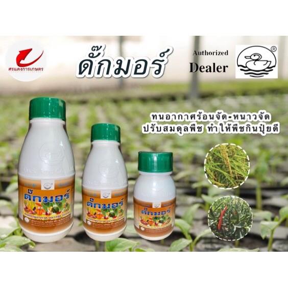 ดั๊กมอร์ ปรับสมดุลพืช ทำให้พืชกินปุ๋ยได้ดี
