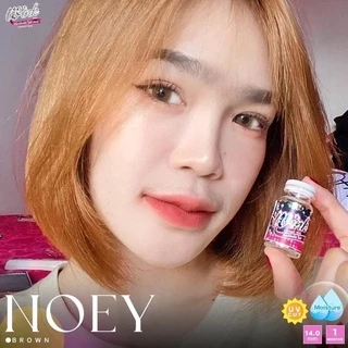 wink lens (Noey) 14.0mini