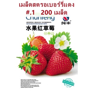 เมล็ด สตรอเบอร์รี่ แดง Strawberry Original  จำนวน  200 เมล็ด สายพันธุ์OP