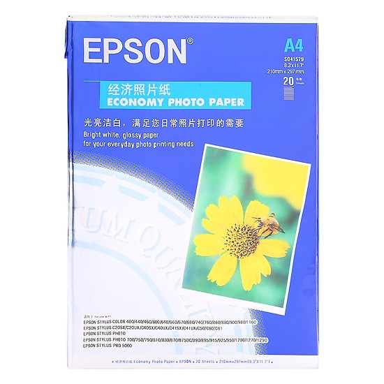 กระดาษภาพถ่าย Epson DL200 (20 แผ่น)
