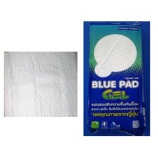 Blue Pad แผ่นรองซับความชื้นกันเปื้อน Size L 45x70 cm 10 แผ่น/ห่อ (ขายยกลัง 12 ห่อ)