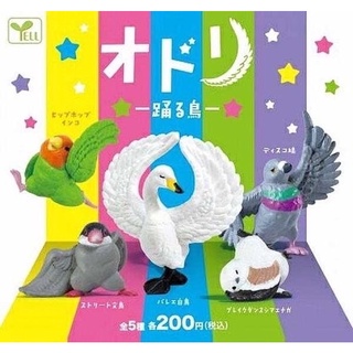 🅟🅕 กาชาปองนกหลากหลายสายพันธุ์เต้นหลายสไตล์ 🦢🦅💃🕺🦜  Odori - Dancing Birds gashapon