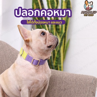 ปอกคอสัตว์เลี้ยง ไม่มีกระดิ่ง สีม่วงไซส์ S/ M /L    AP24