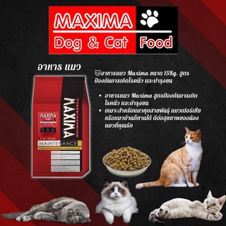 (อาหารแมว)MAXIMA CAT MAINTENANCE 15 KG 🌟 อาหารเม็ดกู้ชีวิตแมว เนื้อแกะ Recovery Life ส่งฟรี‼️มีเก็บเงินปลายทาง