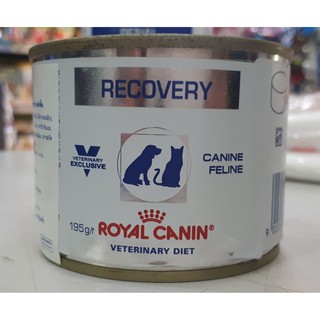 Royal Canine - Recovery 195g.