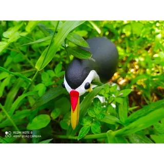 นกกวักปลอม หุ่นนกปลอม