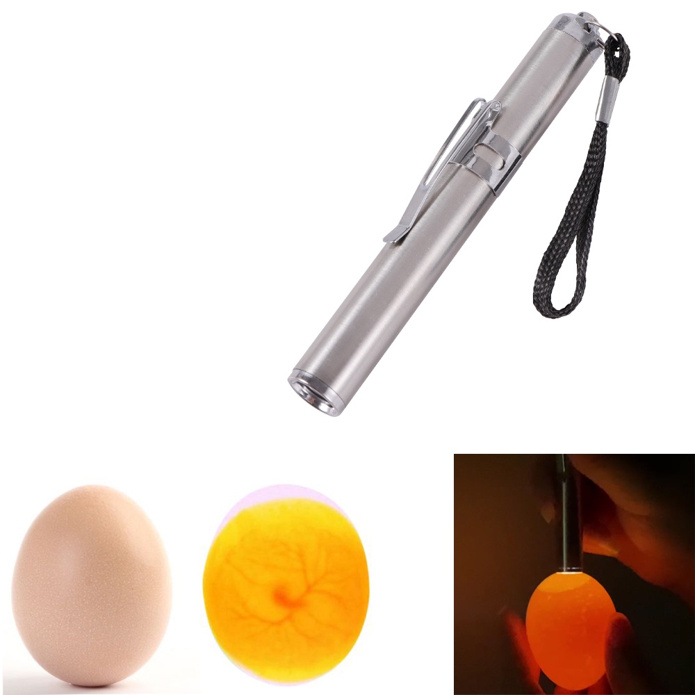 1 ชิ้น Incubator ไข่ Candling โคมไฟ LED Super อุปกรณ์เย็นสแตนเลส Mini สัตว์ปีก Incubation ไฟฉาย (ไม่มีแบตเตอรี่)