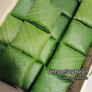 🔥ขายดีสุด!! [1 ชุดมี 10 ชิ้น] เต็มเปหรือเทมเป้ ถั่วเหลืองล้วนสูตรต้นตำรับ ชิ้นละ 50 กรัม Homemade 100%