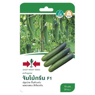 แตงร้าน F1 จัมโบ้กรีน LONG CUCUMBER SEED EAST-WEST SEED JOMBO GREEN F1