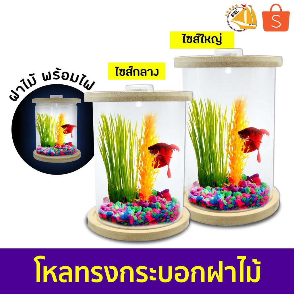 อันดับหนึ่ง 105+ ภาพพื้นหลัง เลี้ยงปลาทองในโหล ไม่ใช้ออกซิเจน คมชัด