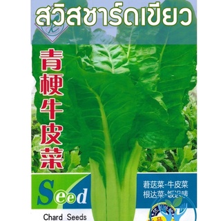 เมล็ด สวิสชาร์ด สีเขียว Swiss Chard บรรจุ 700 เมล็ด