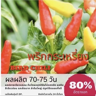 เมล็ดพันธุ์ พริกกระเหรี่ยง 150 เมล็ด พริก (ซื้อ 10 แถม 1 คละอย่างได้)