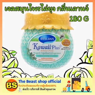 The beast shop_[180G] น้ำหอมปรับอากาศไล่ยุง SHALDAN KAWAII PLUS ชาล์เดิ้ล คาวาอี้พลัส Lounge Mint กลิ่นเลานจ์