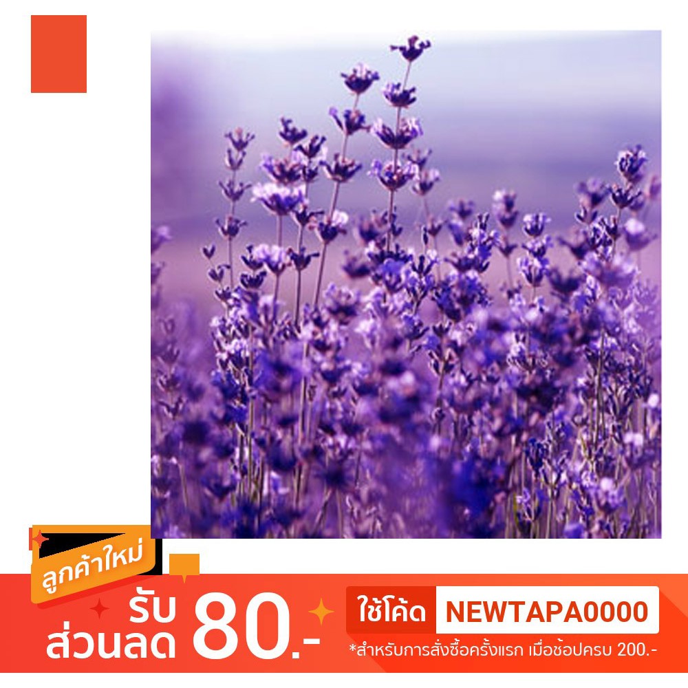 น้ำหอม NG Nature's Garden นำเข้าจากอเมริกา กลิ่น LAVENDER FLOWERS FRAGRANCE OIL ขนาด 2 ออนซ์