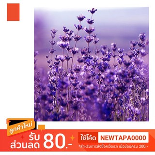 น้ำหอม NG Natures Garden นำเข้าจากอเมริกา กลิ่น  LAVENDER FLOWERS FRAGRANCE OIL ขนาด 16 ออนซ์