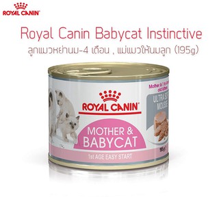 Royal Canin Babycat Instinctive ลูกแมวหย่านม-4 เดือน , แม่แมวให้นมลูก (195g)