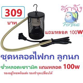 โคมไฟกกนก สัตว์เลี้ยง แถมหลอด 100 W ของอยู่ไทย พร้อมส่ง