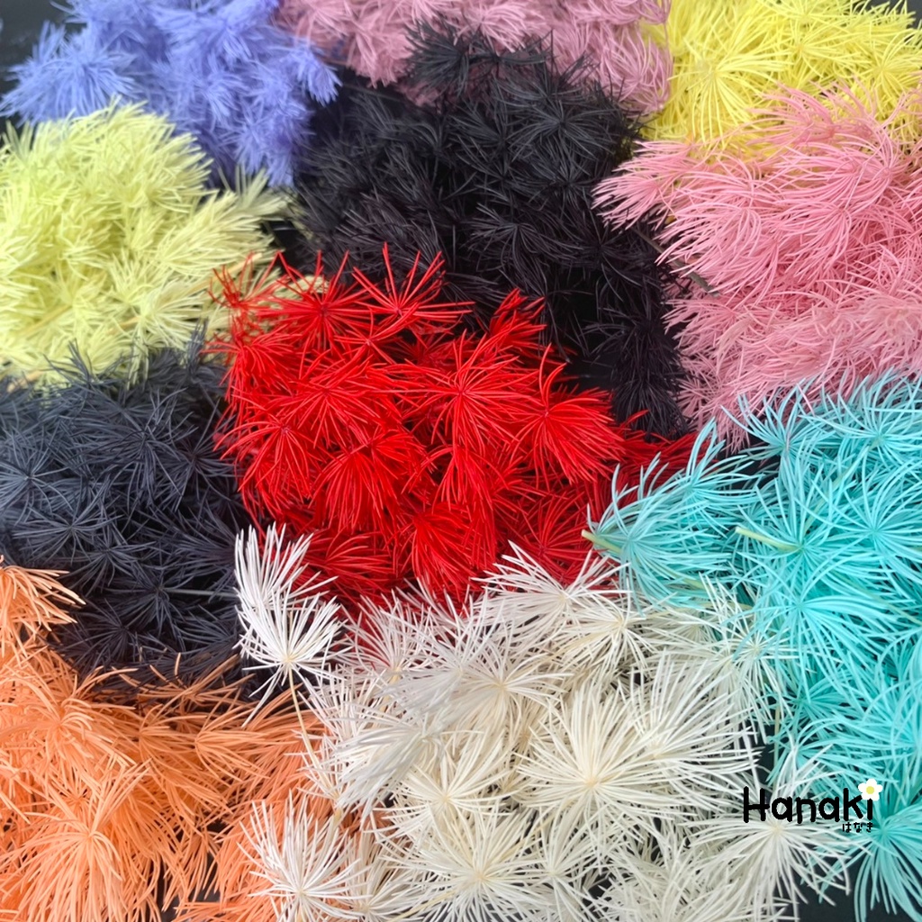 【พร้อมส่ง】ปริก ปริกฮอลแลนด์❌ซื้อขั้นต่ำ 30฿/ออเดอร์นะคะ❌ สามารถคละกับสินค้าอื่นในร้านได้ ดอกไม้แห้ง