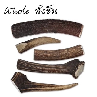 [ส่งจากไทย] Real Deer Antler Dog Chew ขนมขัดฟันสุนัข เขากวางแท้ ขนมแทะเล่นสุนัข Alpine Premium Chews