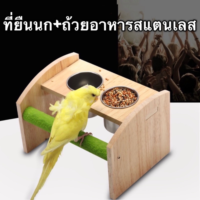 K-8 ที่ยืนนก+ถ้วยอาหารสแตนเลส สำหรับนกแก้ว คอนไม้ คอนนก ตั้งพื้น ติดกับแท่นไม้สามารถถอดออกได้ (ประกอบง่ายแค่ใช้ไขควง)