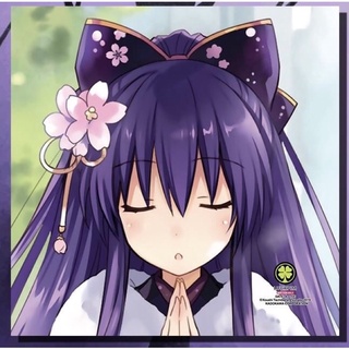 ปลอกหมอน DATE A LIVE พิชิตรัก พิทักษ์โลก (มือหนึ่ง)