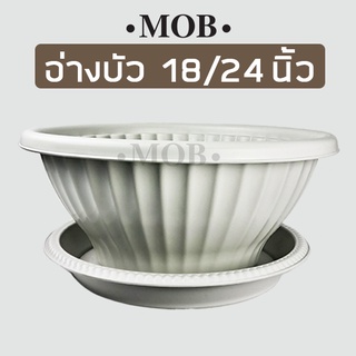 MOB อ่างบัวใหญ่ พร้อมจานรอง 18 นิ้ว 24 นิ้ว อ่างบัวพลาสติก กระถางบัว