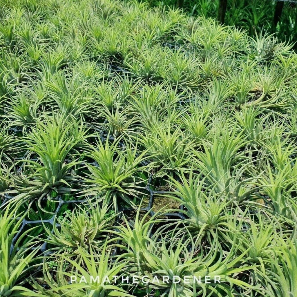 มุมมอง 2