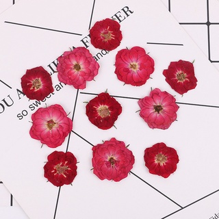8PCS Rose นูนพืชบุ๊คมาร์ค DIY บุ๊คมาร์ควัสดุ