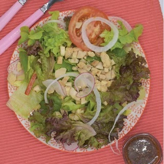 PFS ไก่อบแห้ง ขนาด 100 กรัม FREEZE DRIED CHICKEN
