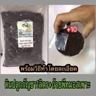 ชุดดินปลูกชา_กัญพร้อมวีธีทำการดูแล