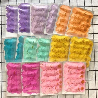 50ชิ้นนูนดอกไม้แห้งคริสตัลสีขาวดอกเบญจมาศนูนมือวางกาว ทําเอง พืชที่คั่นหน้า