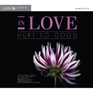 รวมศิลปิน อัลบั้ม In Love Hurt So Good [MP3 320KBPS] * CD-MP3 , USB-MP3*