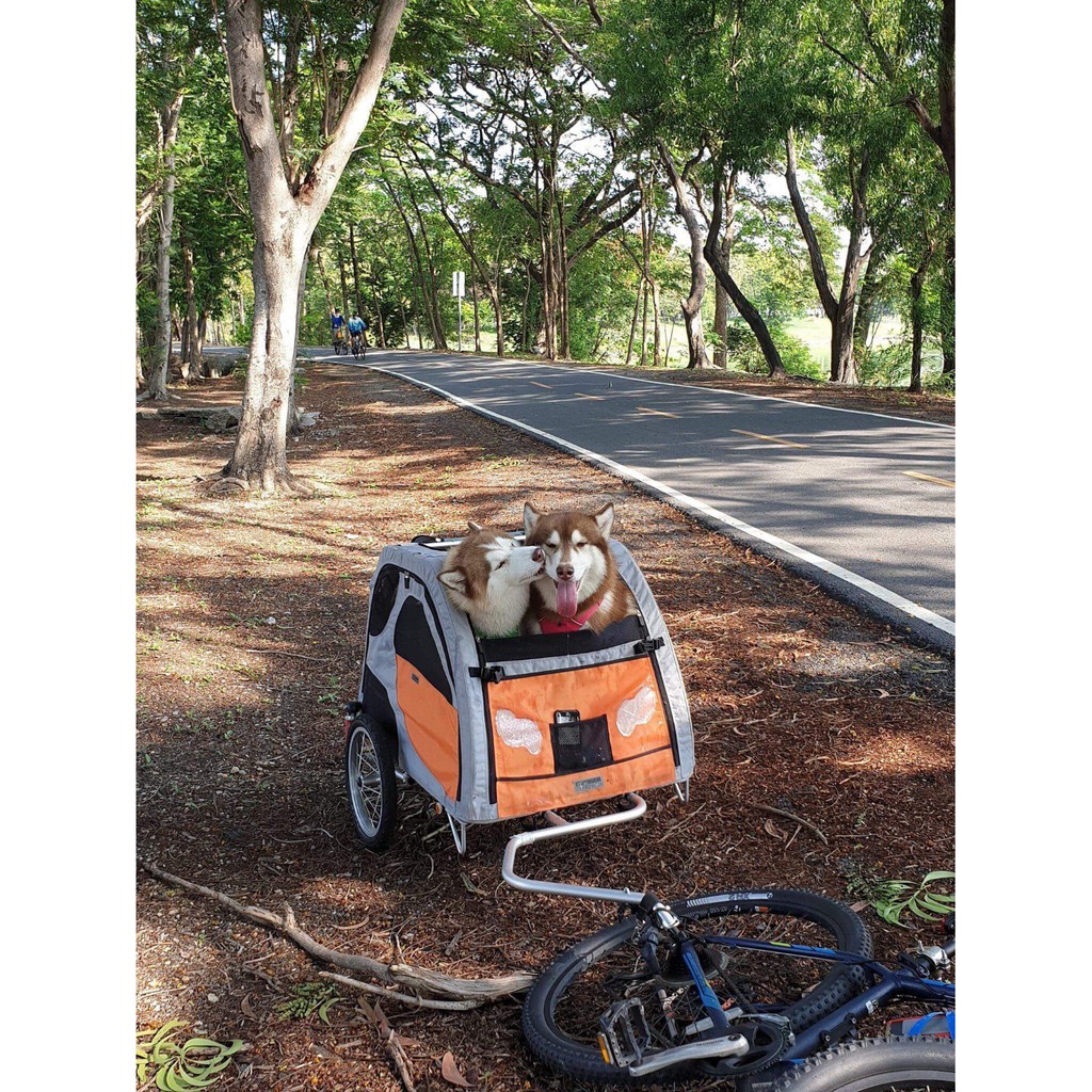รถพ่วงสุนัขใหญ่ สำหรับจักรยาน  Petego รุ่น Comfort Wagon Bicycle Pet Trailer, Large รับน้ำหนักน้องหมาได้ 75 kg (นำเข้าจา
