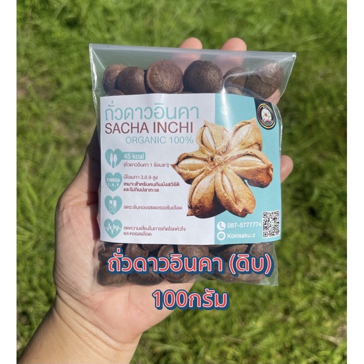 ถั่วดาวอินคา (ดิบ) ขนาด100กรัม เมล็ดพันธุ์ sacha inchi seed