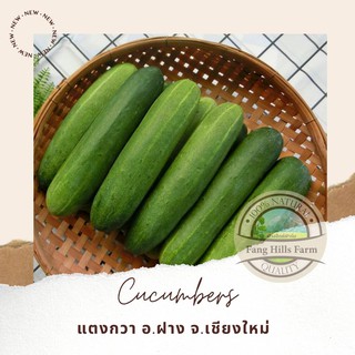 🚚 ค่าส่งถูก!! แตงกวา แตงร้าน ลูกใหญ่ 1000 กรัม [สินค้าเกษตรช…