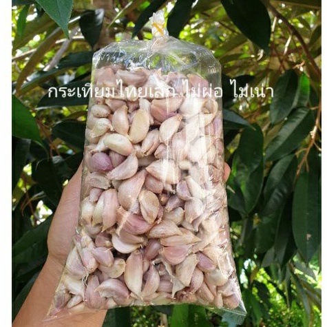 กระเทียมไทย กลีบเล็ก ไม่รา ไม่มอด ไม่ฝอ กลิ่นหอมเเรง เผ็ดพอดี 100 กรัม / 500 กรัม