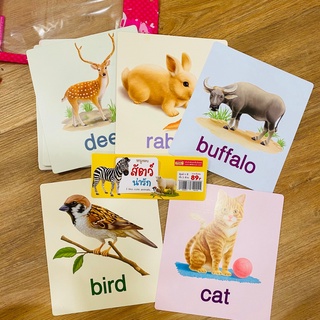 มีโปรแถม Big card สัตว์ป่ามหาสนุกแฟลชการ์ด Flash Card Animal การ์ดคำศัพท์พื้นฐาน บัตรคำ เสริมพัฒนาการ flashcard สัตว์น่า