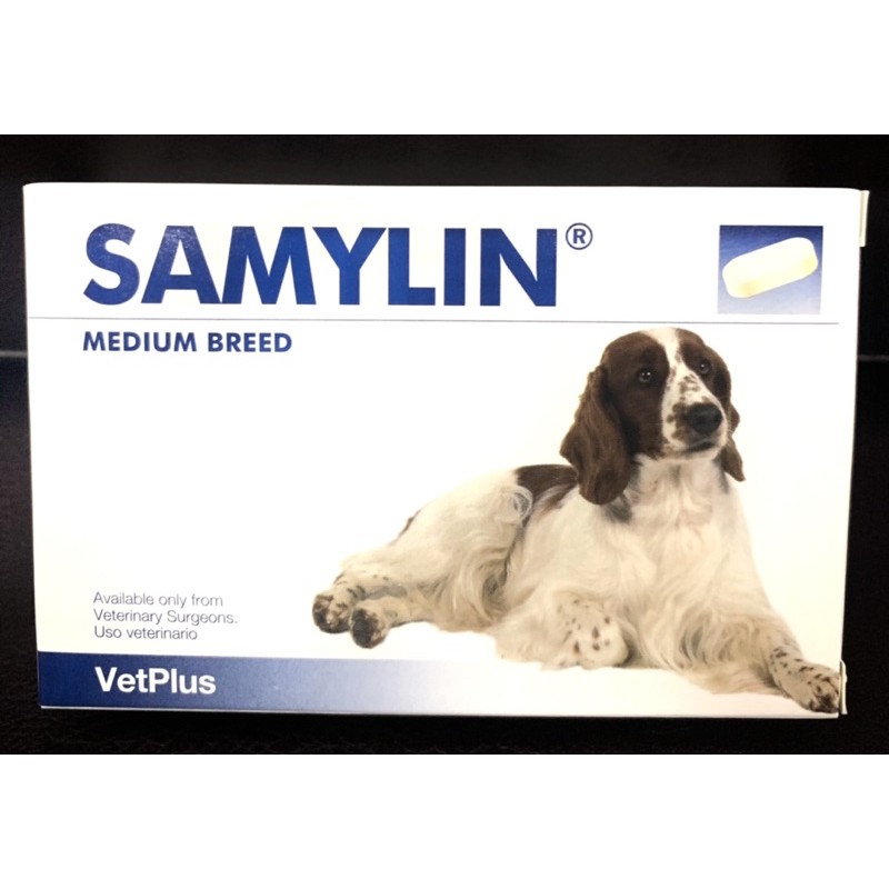 Samylin Medium Breed อาหารเสริมบำรุงตับ สำหรับสุนัขขนาดกลาง Exp. 2025