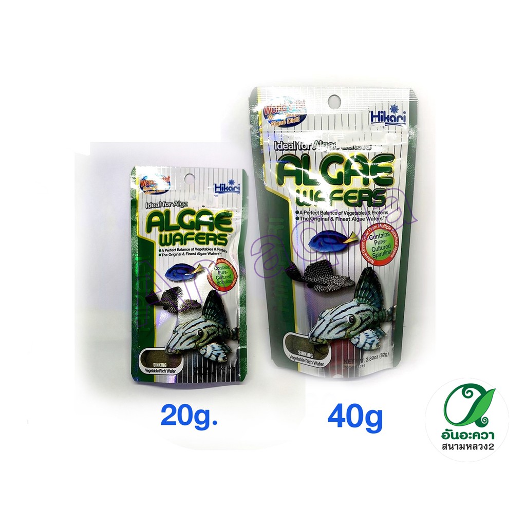 Hikari algae wafer (20g-40g)  อาหารปลาก้นตู้ เม็ดจม