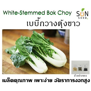 เมล็ดกวางตุ้งเบบี้ขาว 10 บาท 300 เมล็ด เพาะง่าย อัตราการงอกสูง  (ผัก ผักสวนครัว เมล็ดผัก เมล็ดพันธุ์ผัก ผักอินทรีย์  )