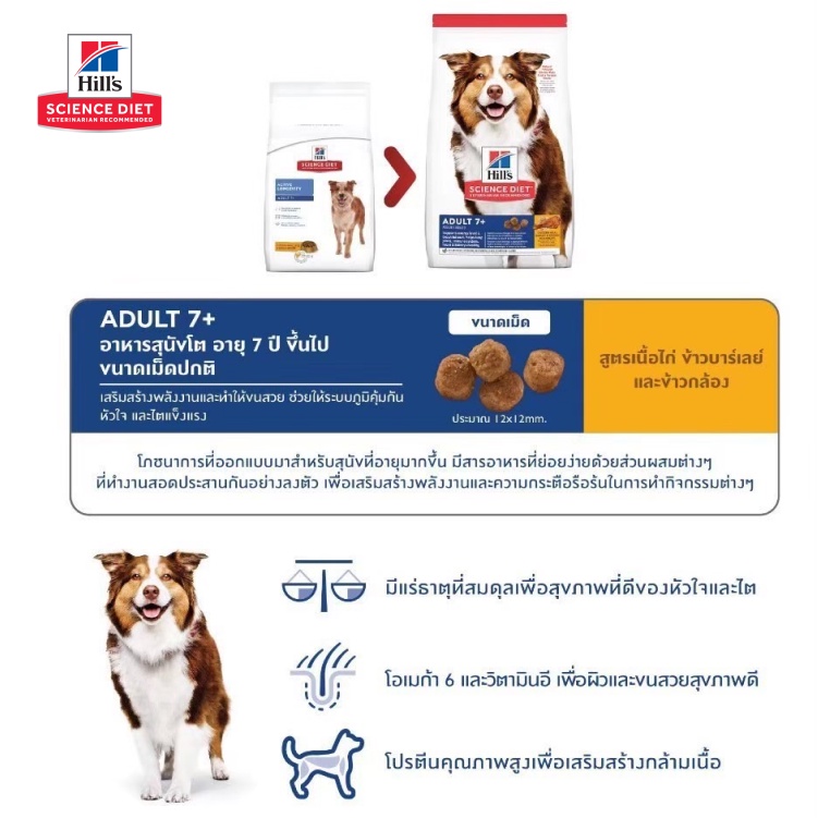 อาหารสุนัข Hill's Science Diet Adult 7+ โปรตีนคุณภาพสูง