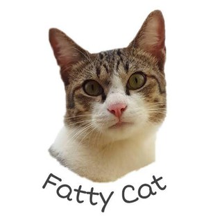 FATTY  CAT  ทรายแมวภูเขาไฟ 10 ลิตร